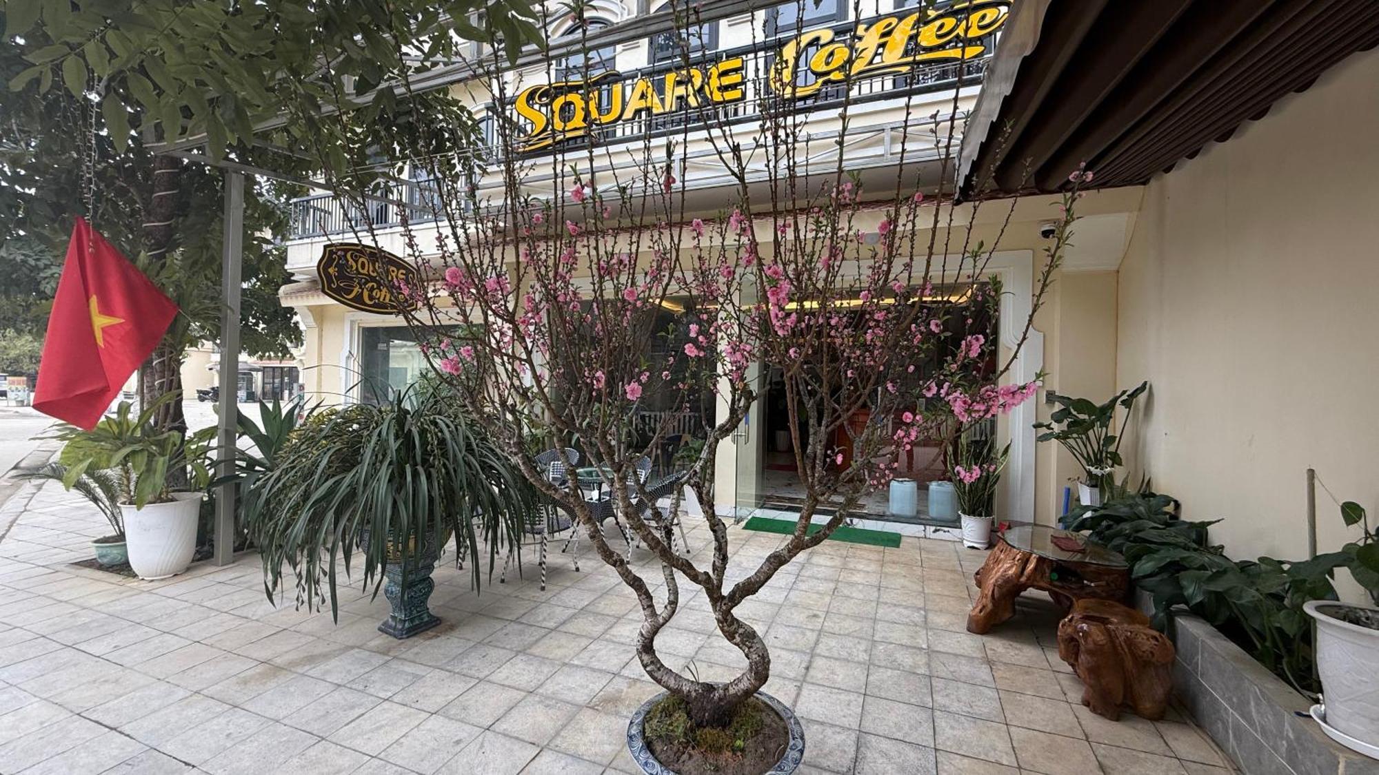 Square Homestay & Coffee 박하 외부 사진